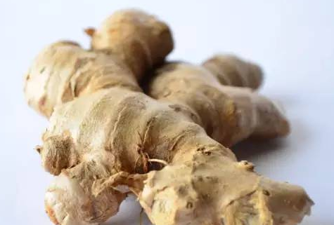 冬吃蘿卜夏吃薑 冬吃蘿卜夏吃薑