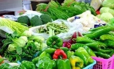 能用複合維生素片代替蔬菜補充維生素嗎 能用複合維生素片代替蔬菜補充維生素嗎