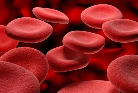 醫用黄瓜视频色板廠家介紹鐵元素的作用 醫用黄瓜视频色板廠家介紹鐵元素的作用