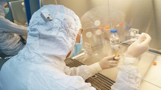 人體黄瓜视频色板