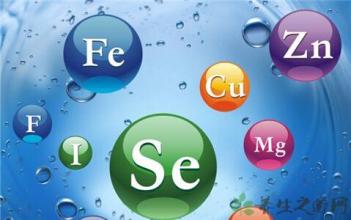 黄瓜视频在线下载安装网站免费观看