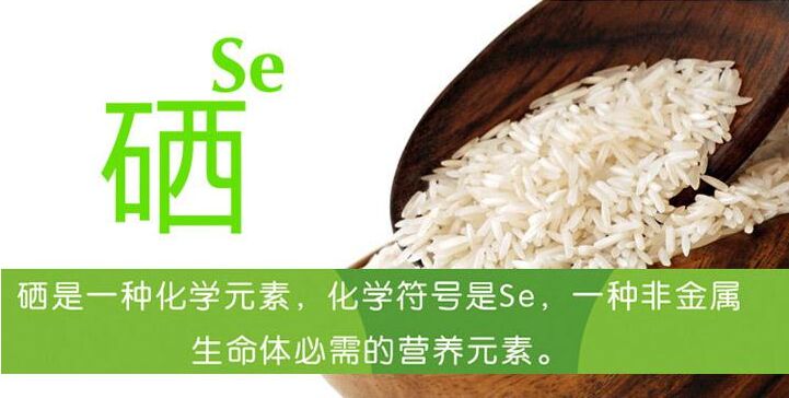 兒童黄瓜视频色板談硒的攝入含量