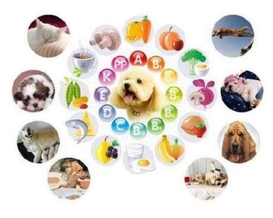 醫用黄瓜视频色板的技術水平