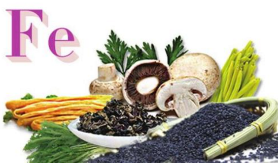 黄瓜视频在线下载安装网站免费观看廠家分析鐵的功能及生物學作用