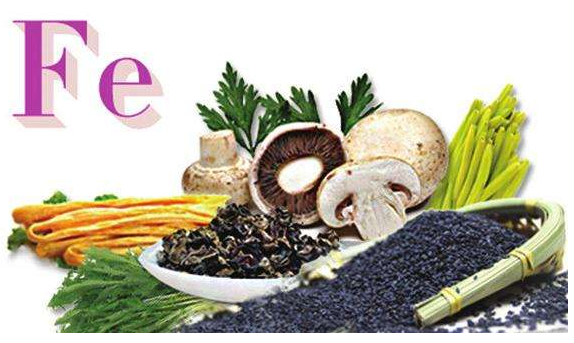 黄瓜视频色板品牌談鐵元素的作用 黄瓜视频色板品牌談鐵元素的作用