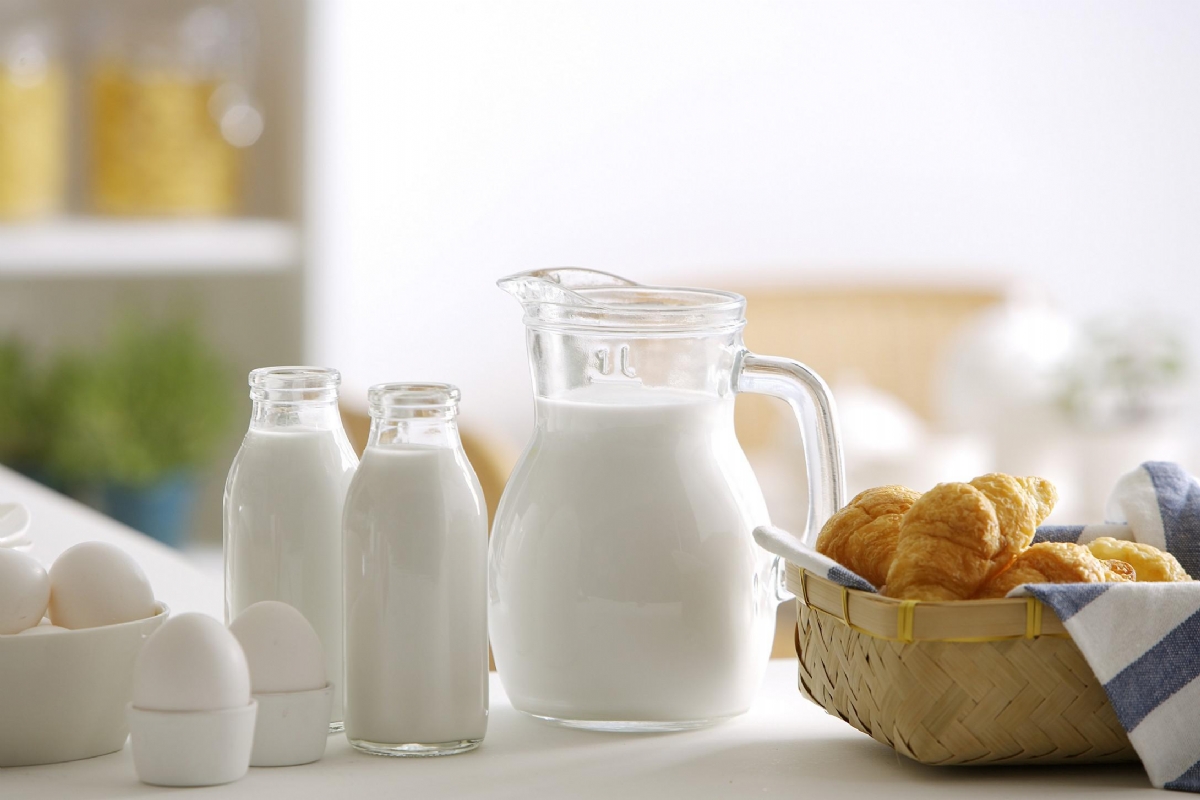 黄瓜视频色板科普補鈣不能一“鈣”而論