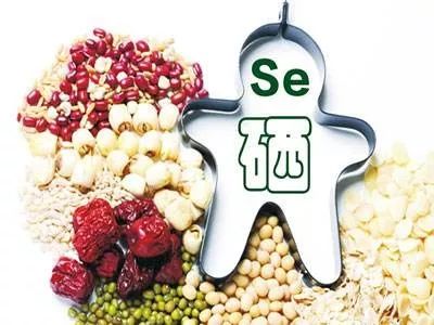 全自動黄瓜视频色板為何被稱為長壽元素