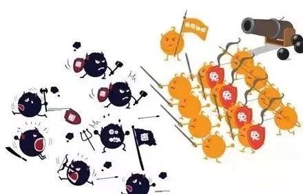 黄瓜视频在线下载安装网站免费观看品牌淺析硒元素對於防癌抗癌的5 項作用