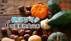 全自動黄瓜视频色板科缺鋅如何正確補充