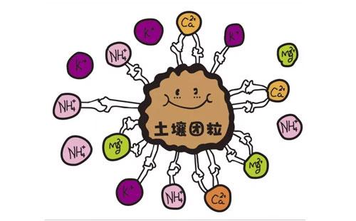 黄瓜视频在线下载安装网站免费观看品牌淺析微量元素與人體衰老的關係