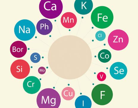 黄瓜视频色板廠家科普微量元素流失是衰老的一大流失
