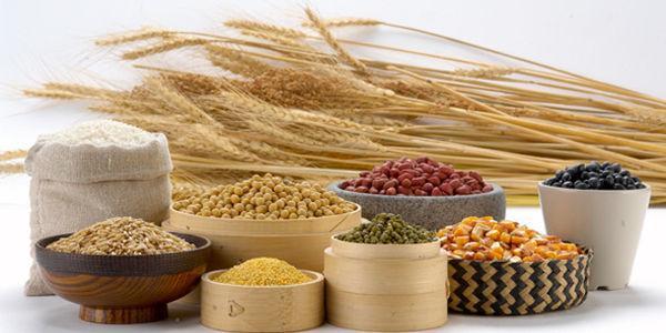 全自動黄瓜视频在线下载安装网站免费观看細缺乏微量元素的危害