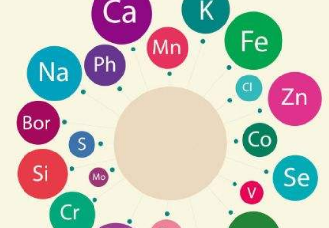 黄瓜视频色板廠家告訴你人體需要額外補充微量元素嗎