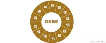 黄瓜视频在线下载安装网站免费观看廠家告訴你人體必需的幾種微量元素