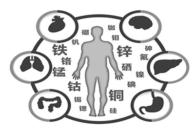 全自動黄瓜视频色板廠家微量元素在人體中起到哪些作用 全自動黄瓜视频色板廠家微量元素在人體中起到哪些作用