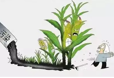 微量元素測試儀科普重金屬 微量元素測試儀科普重金屬