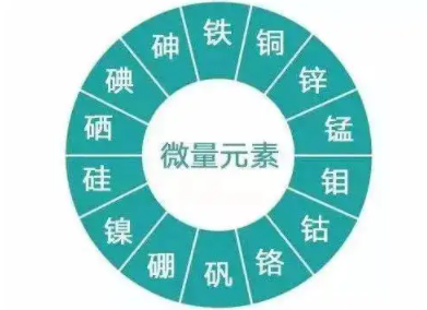 鈣鐵鋅硒檢測儀廠家 鈣鐵鋅硒檢測儀廠家