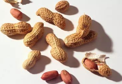 鋅元素被什麽被譽為生命之花 鋅元素被什麽被譽為生命之花