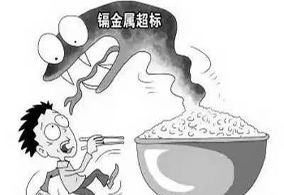 2020/1/4-全自動黄瓜视频色板-國康-鎘元素對人體的作用有哪些 2020/1/4-全自動黄瓜视频色板-國康-鎘元素對人體的作用有哪些