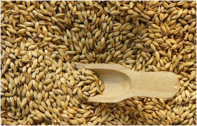 603深圳全自動鈣鐵鋅硒檢測儀檢測1種微量元素可以被稱為女性宮頸癌的“天敵”