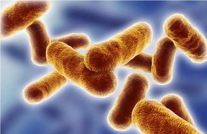 817微量元素測試儀品牌介紹關於什麽是炭疽病及感染途徑的科學知識